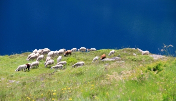 traversee-des-pyrenees.JPG