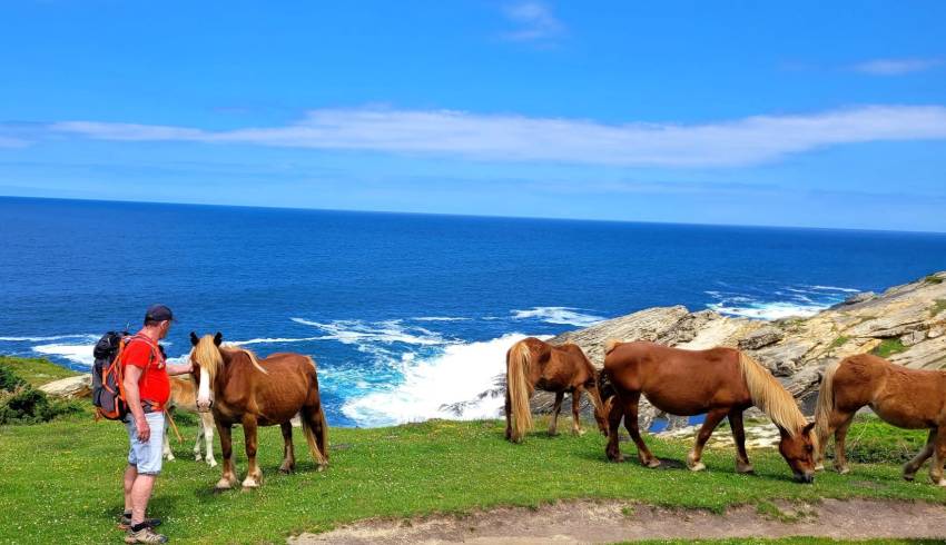 rando-pays-basque-facile.jpg