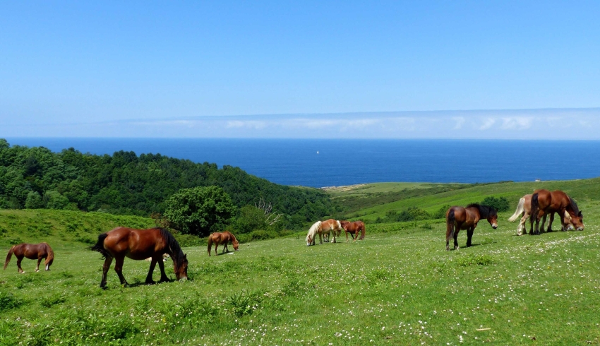 rando-pays-basque.JPG