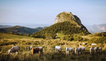 cathares-montsegur.jpg
