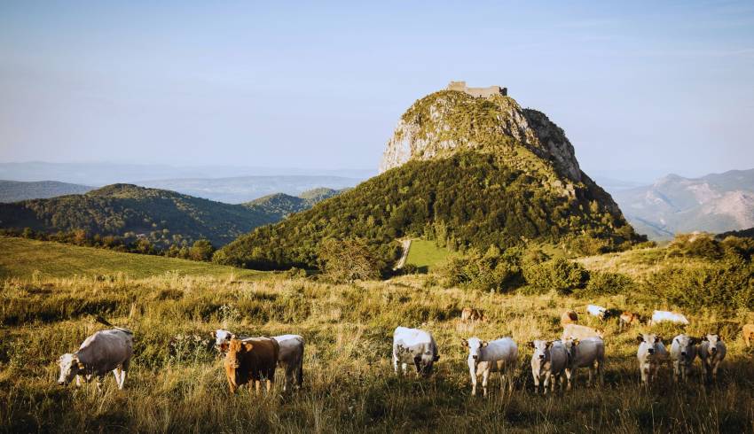 cathares-montsegur.jpg