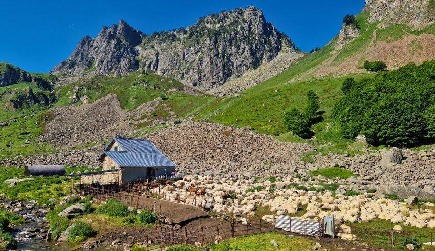 trek-vallee-ossau-et-aspe.jpg