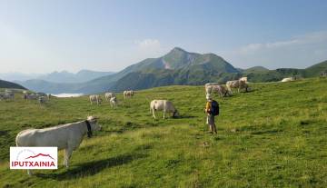 rando-pays-basque-guidee.jpg