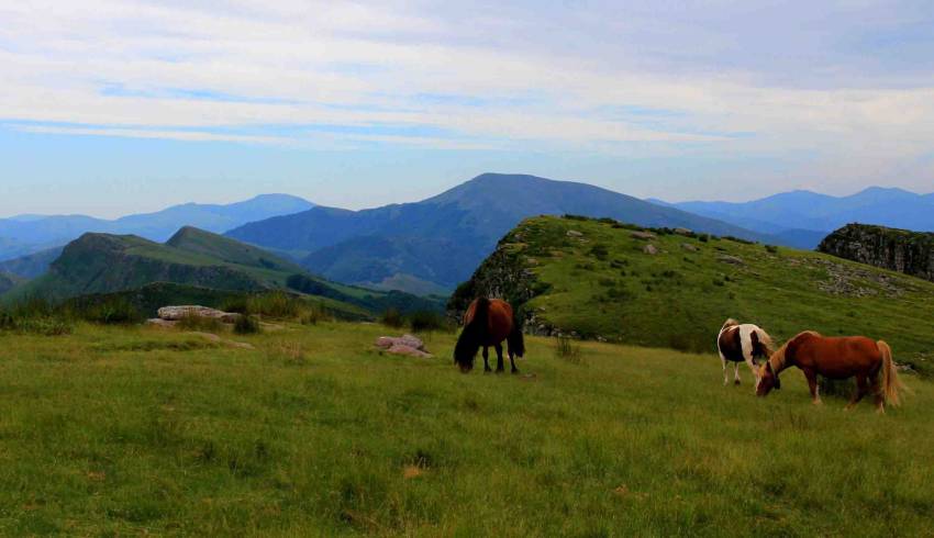 Rando-accompagne-pays-basque.JPG