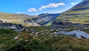 Le-canyon-de-Ordesa.jpg