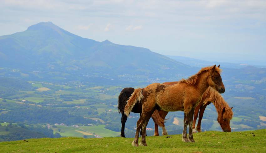 Rhune-Pays-Basque.JPG