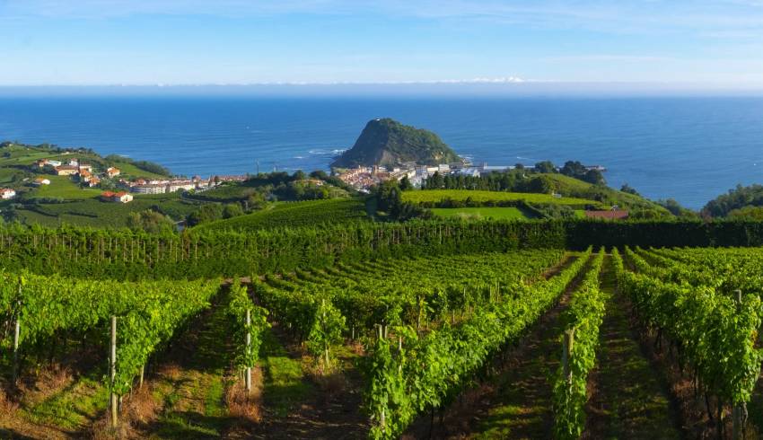 cote-basque-rando-guidee.jpg
