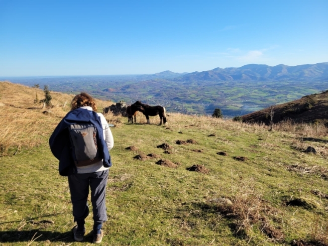 reveilllon-pays-basque.jpg