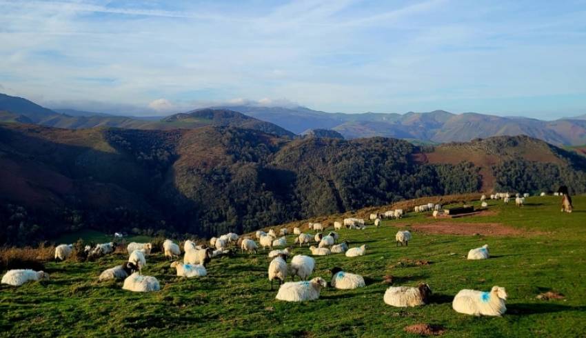 sejour-randonnee-pays-basque.jpg