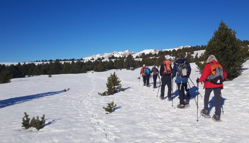 les-plateaux-de-Cerdagne.jpg