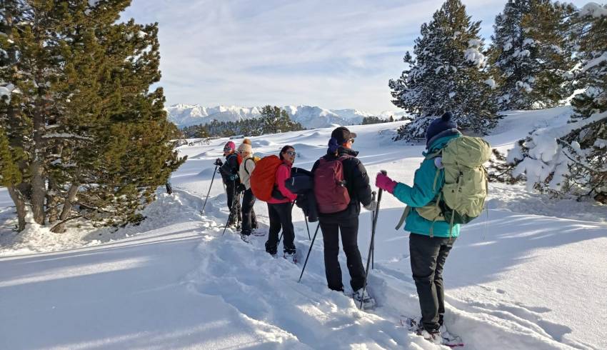 rando-raquettes-cerdagne.jpg