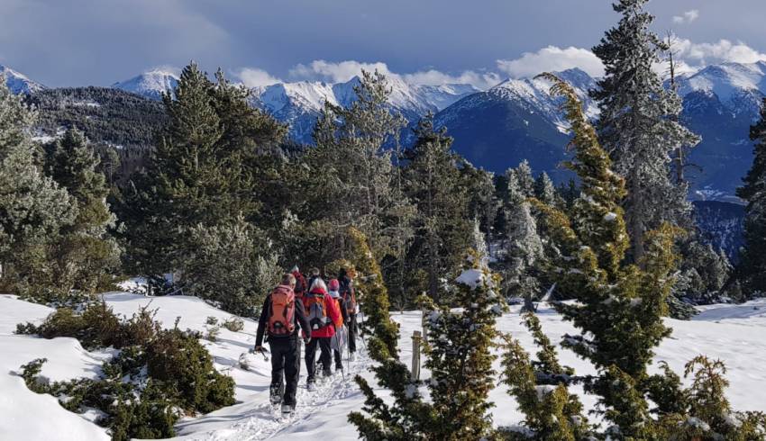 sejour-raquettes-pyrenees-catalanes.jpg