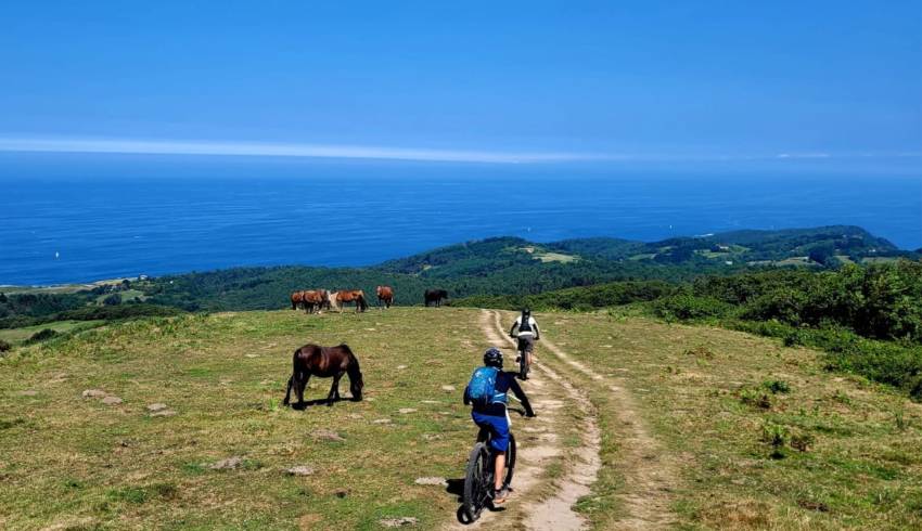 vtt-electrique-pays-basque-rando.jpg