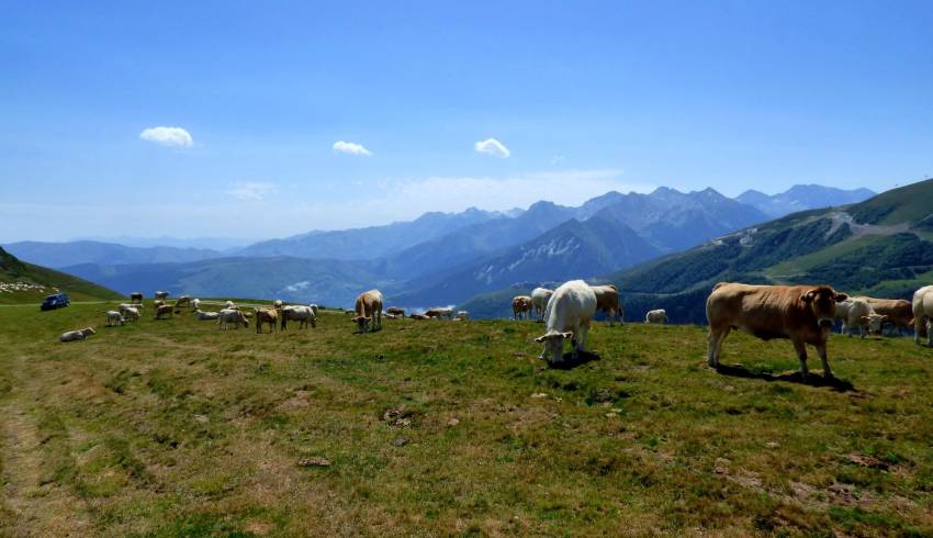 sejour-randonnee-pyrenees.jpg