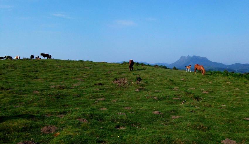 rando-montagne-Pays-Basque.JPG