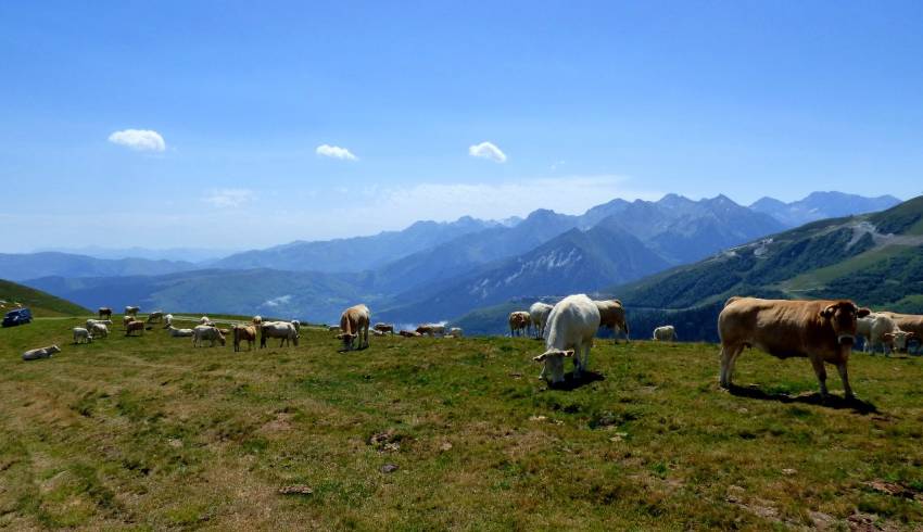 sejour-rando-GR10-pyrenees.jpg