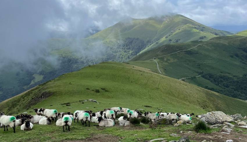 sejour-pays-basque-accompagnee.jpg