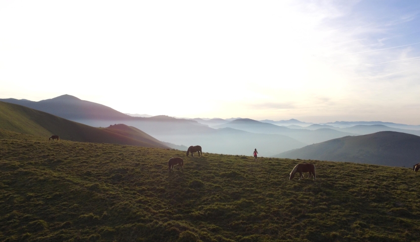 Trail-Pays-basque-001--CDT64-A.Salaun.JPG