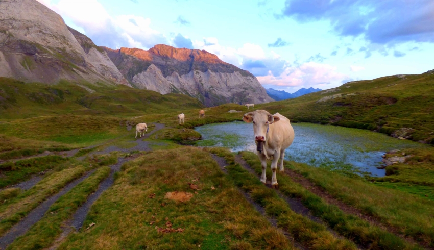 1-trek-parc-des-pyrenees---RANDO-guidee.jpg