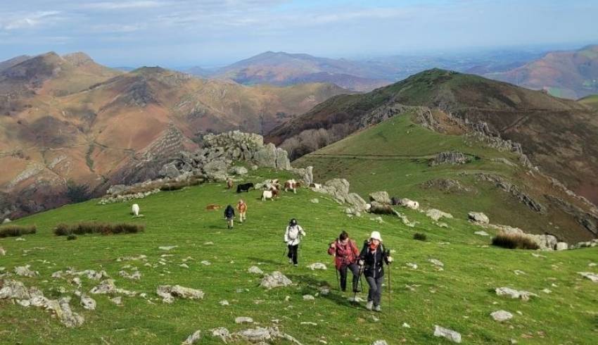 sejour-bas-carbone-pays-basque.jpg