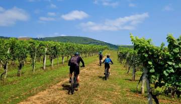 rando-velo-guidee.jpg