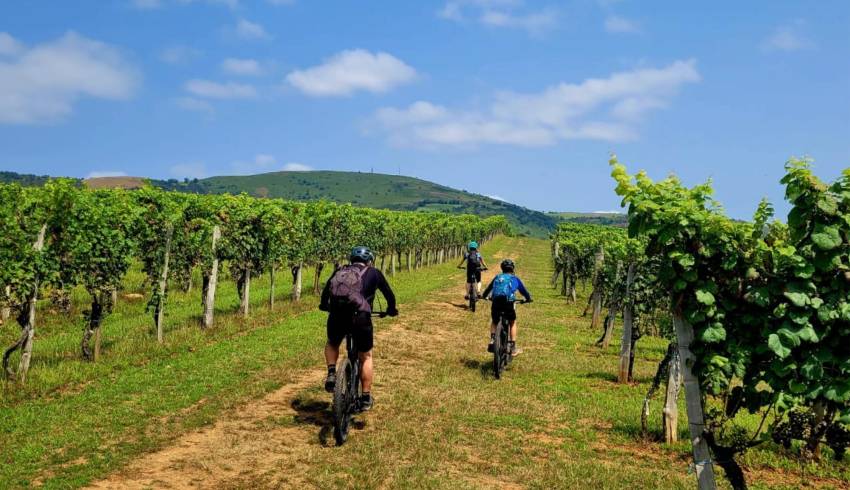 rando-velo-guidee.jpg