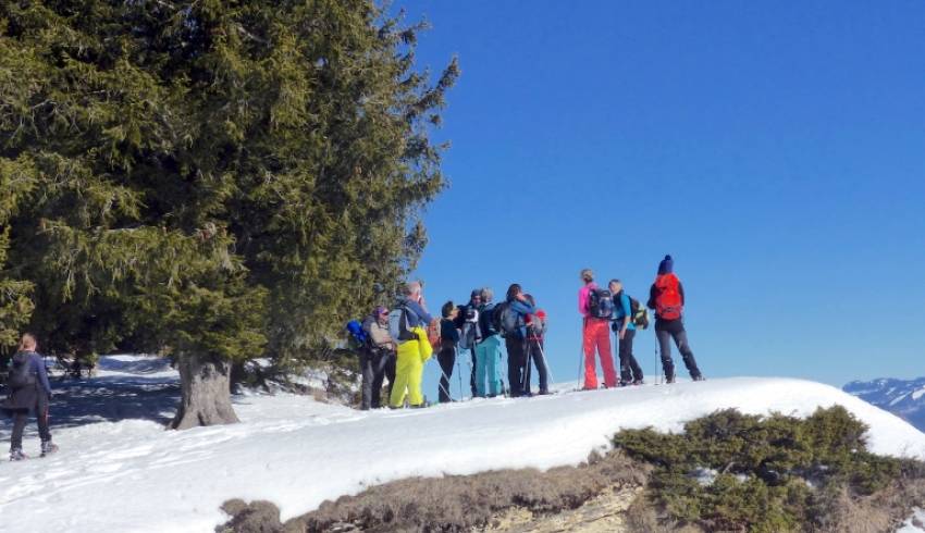 sejour_raquettes_neige_Vercors_Alpes.jpg