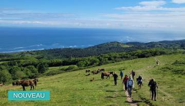 randonnee-facile-pays-basque.jpg