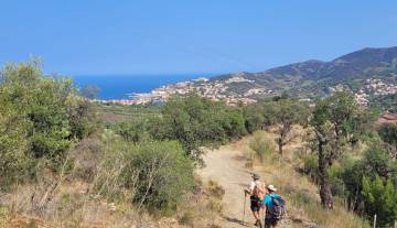 arrivee-a-banyuls.jpg