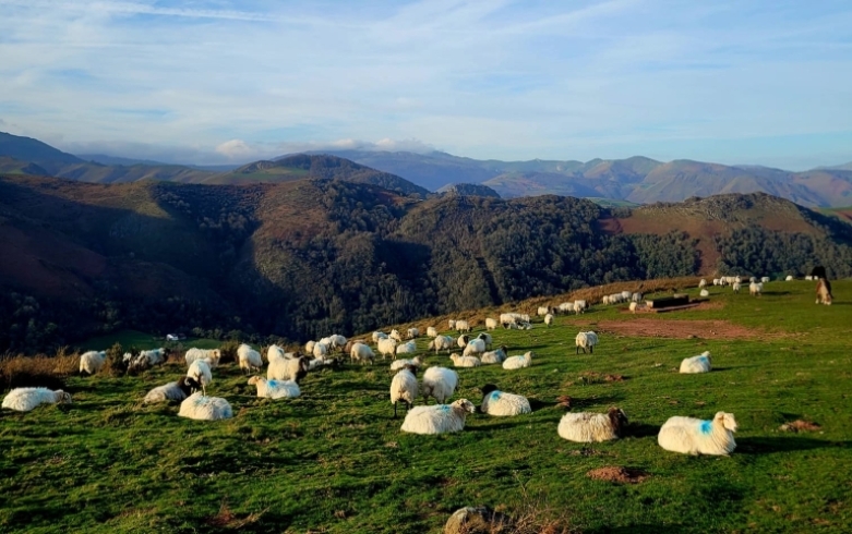 reveillon-pays-basque.jpg